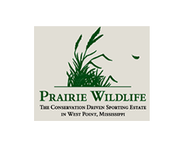 Prairie Wildlife